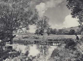 Water Meadows of the Lower Itchen