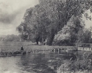 Wind in the Willows, Abbot