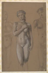 Female Nude - Three Studies, Possibly for Venus