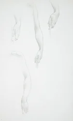 Studies of Arms and Hands; Study of Female Torso