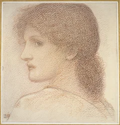 A Study of a Woman