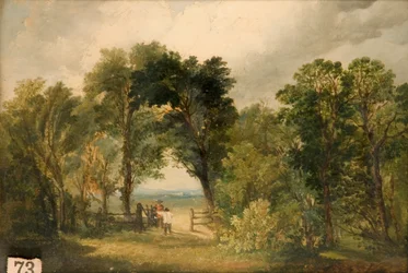 A Woodland Glade