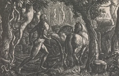 The Ploughman