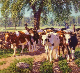 Along the Road