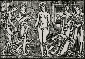 The Court of Venus