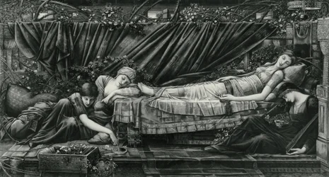 The Rose Bower, from the Briar Rose Series