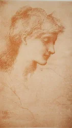 Head of a Young Woman