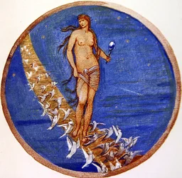 The Flower Book: V. Rose of Heaven