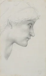 Head