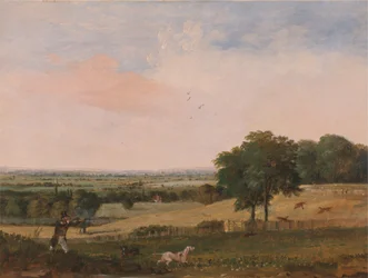Partridge Shooting