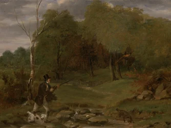 Pheasant Shooting