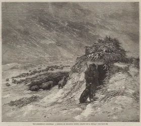 The Shepherd