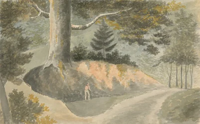 Road in the Forest