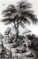 View of the Pass from Quindio, illustration from 