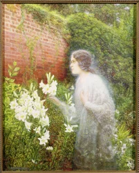 The Spirit of Purity