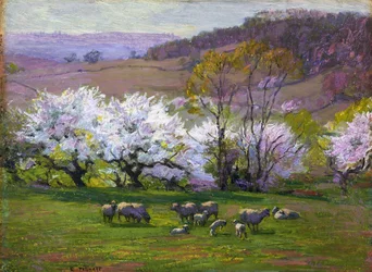 Blossom Time