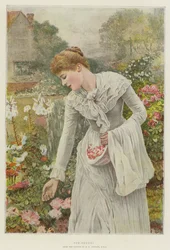 Pot-Pourri