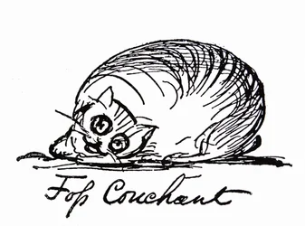 A Cat Character
