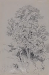 Burpham October 4, 1834
