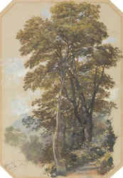 Corpo di Cava, 28 June 1838