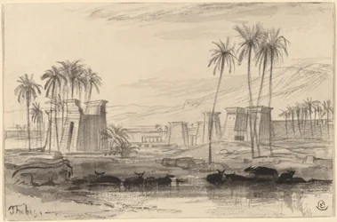 Thebes, 1884-1885