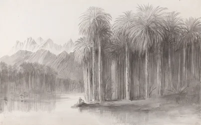 Wady Feiran, Peninsula of Mt. Sinai