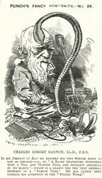 Charles Darwin, English naturalist and biologist