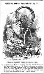 Charles Darwin, English naturalist