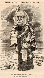 Erasmus Wilson