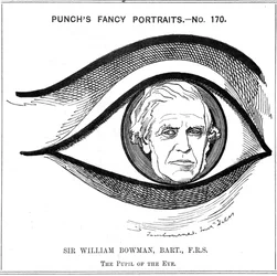William Bowman, English Anatomist, Surgeon and Ophthalmologist, 1884