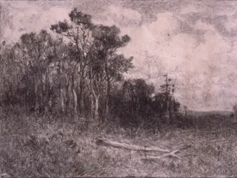 Landscape, Woodland Scene