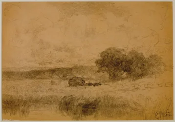 Landscape, Woods (#13) c. 1880