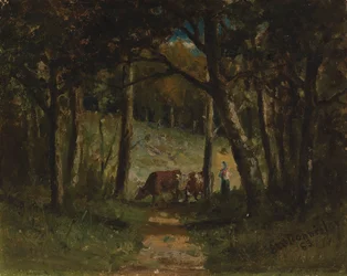 Untitled cows on path in forest