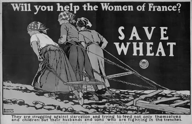 Will You Help the Women of France? World War One poster