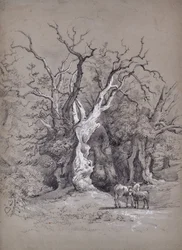 Landscape with Tree