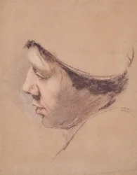 Profile of a Man