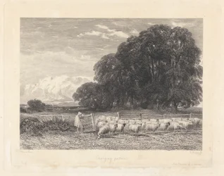 Changing Pasture