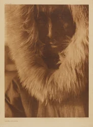 Jajuk - Selawik