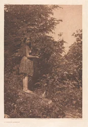 Portfolio IX, Plates 293-328