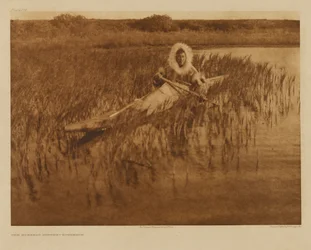 The Muskrat Hunter - Kotzebue