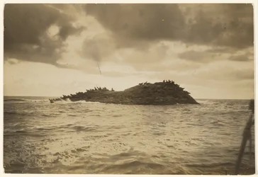 To Rocky, Surf-beat Islets My Canoe Has Borne Me