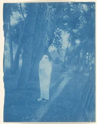 Waiting in the Forest - Cheyenne
