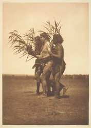 Arikara Medicine Ceremony - the Ducks, 1908