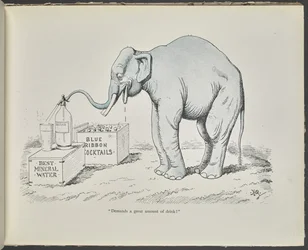 The Elephant, from 
