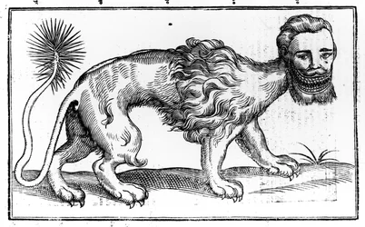 Manticore from 