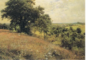 In the Meadow