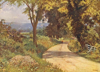My road