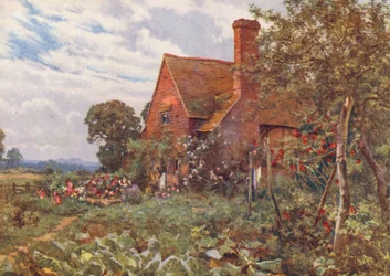 The Solitary Cottage Where I Lodge