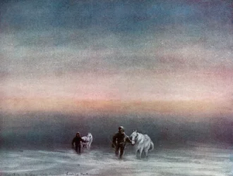 Exercising the Ponies