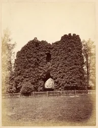 View of a Folly in Roundhay Park